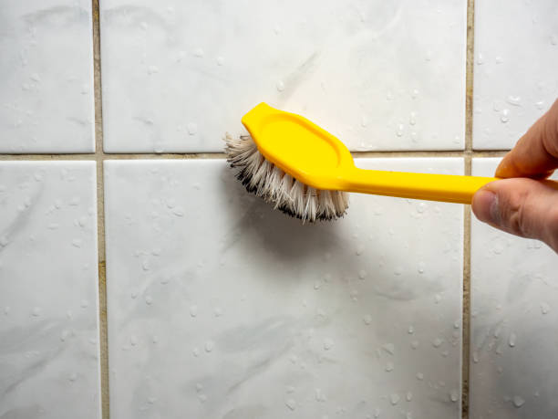 Best Mold Testing  in Deerfield, MI