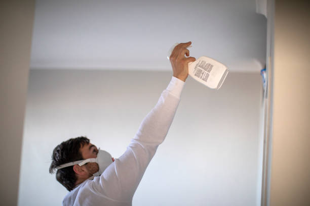 Best Affordable Mold Removal  in Deerfield, MI