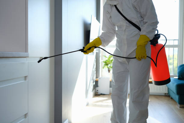 Best Mold Testing  in Deerfield, MI