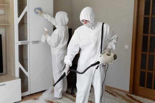 Best Home Mold Removal  in Deerfield, MI